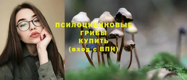 стаф Армянск