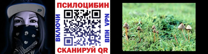 Галлюциногенные грибы Magic Shrooms  мега как зайти  Сольцы 