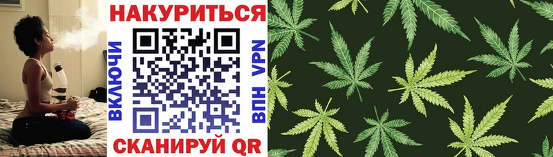Шишки марихуана план  что такое   Сольцы 